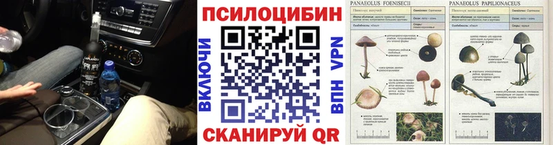 дарк нет телеграм Домодедово Псилоцибиновые грибы прущие грибы