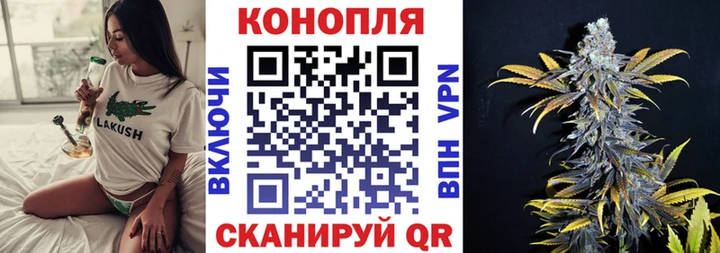 Бошки Шишки гибрид Домодедово